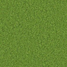 Textures Texture seamless | Green grass texture seamless 13016 | Textures - NATURE ELEMENTS - VEGETATION - Green grass | Sketchuptexture Photoshop Landscape Architecture, Grass Texture Seamless, Green Grass Texture, Texture Sketch, Royal Background, Photoshop Landscape, Grass Texture, New Instagram Logo, Stone Wall Texture