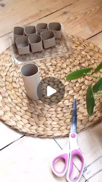 Seed Starter Ideas, Toilet Paper Roll Gardening, Using Toilet Paper Rolls For Seeds, Toilet Roll Seed Starter, Toilet Paper Roll Seed Starter, Starting Seeds In Toilet Paper Rolls, Diy Seedling Starter Tray, Snapdragon Seeds, Old Toilet