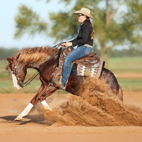 Western Reining Horse, Reining Horse Aesthetic, Reining Horses Photography, Reigning Horses, Prettiest Horses, Mustang Makeover, Gamora Marvel, Western Horse Riding, Working Cow Horse