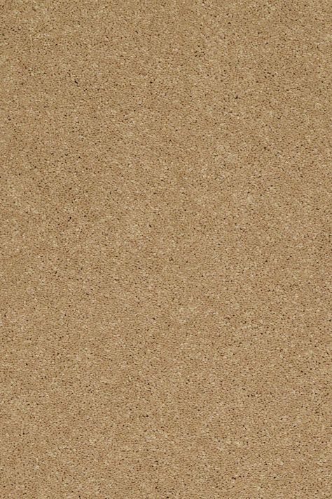 Sandy Hollow Classic Ii 12 - Cork Texture Photoshop, Shaw Flooring, Shaw Carpet, Shaw Floors, Sand Textures, Black Wall Clock, Brown Carpet, Carpet Samples, Brown Texture