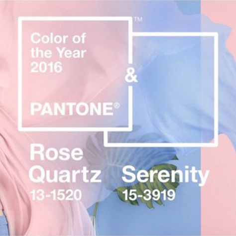 Pantone Rose Quartz Serenity, Rose Quartz And Serenity, Rose Quartz Serenity, Tranquil Blue, Web Trends, Serenity Blue, Pantone Color Of The Year, Digital Marketing Design, 2016 Trends