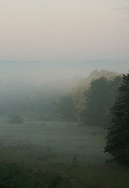 Soothing Images, Moody Gardens, An Old Soul, Foggy Weather, Romantic Nature, Foggy Mountains, Dreamy Landscapes, Grey Gardens, Landscape Photography Nature