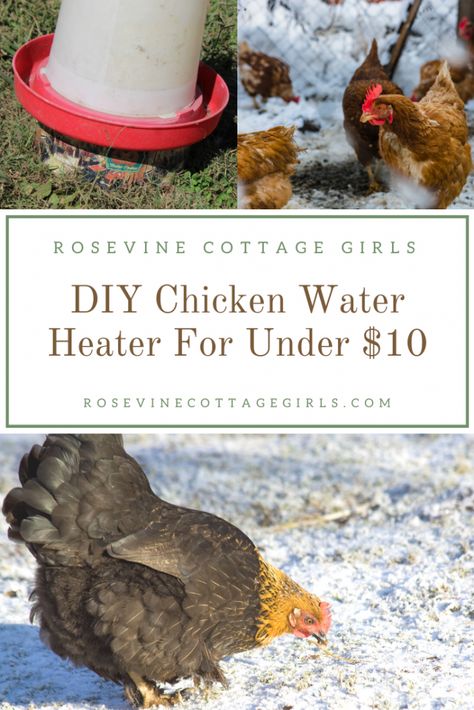 Diy Heated Chicken Waterer Winter, Diy Chicken Waterer For Winter, Chicken Waterer For Winter, How To Keep Chicken Water From Freezing, Diy Chicken Water, Chicken Water From Freezing, Chicken Water Heater, Heated Chicken Waterer, Dust Bath For Chickens