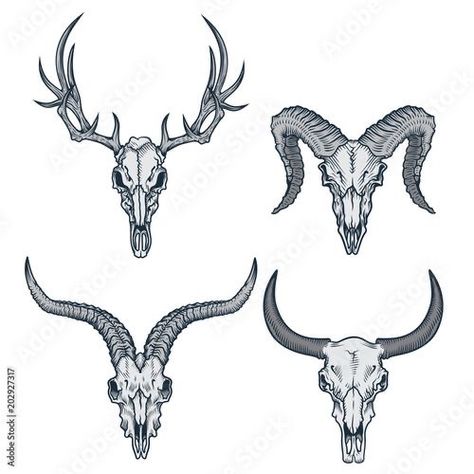 Skull Tattoo Meaning, Animal Skull Tattoo, Tattoo Crane, Deer Skull Tattoos, Tato Maori, Bull Skull Tattoos, Tier Tattoo, Animals Tattoo, Goat Skull