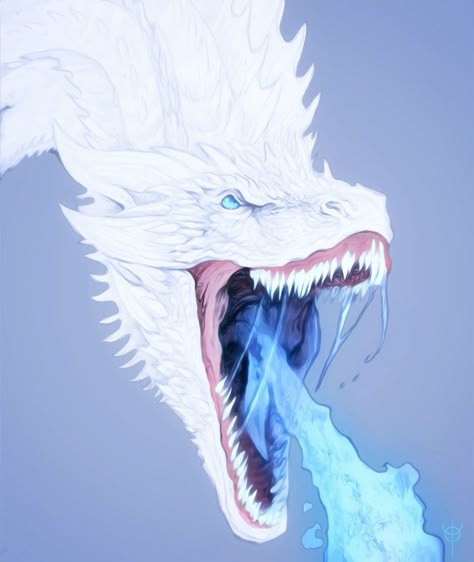 #dragon #wyvern #whitedragon #bluefire #art #дракон #белыйдракон #голубой #gameofthrones #играпрестолов #виверна #ледянаявиверна Dragon Master, Platinum Dragon, Ice Throne, White Wyvern, Dragon Wyvern, Ice Dragon Art, White Dragons, White Dragon Art, Wyvern Art