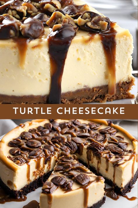 Satisfy your sweet cravings with our decadent Turtle Cheesecake! Creamy cheesecake meets rich chocolate, caramel, and pecans for a divine treat. A perfect blend of indulgence and elegance! 🐢🍫🍰 #TurtleCheesecake #DessertDelight #ChocolateCaramel Chocolate Caramel Cheesecake Recipe, Mini Turtle Cheesecake Recipe, Elegant Desserts Beautiful, Chocolate Turtle Cheesecake Recipe, Mini Turtle Cheesecake, Caramel Chocolate Cheesecake Recipes, Turtle Cheesecake Recipe Easy, Turtle Brownie Cheesecake, Turtle Cheesecake Recipe