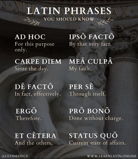 Latin Language Learning, Learn Latin, Latin Quotes, Latin Language, Latin Phrases, Latin Words, I Wish I Knew, Catholic Faith, Writing Tips