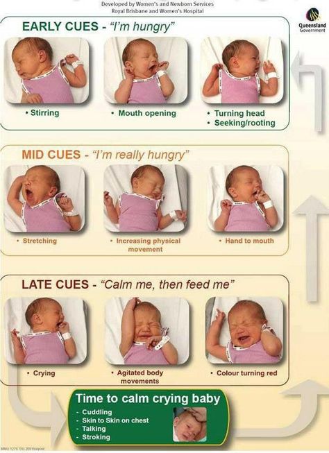 Newborn hunger cues Baby Sleep Problems, Baby Care Tips, Baby Advice, Foto Baby, Baby Prep, Baby Crying, Breastfeeding Tips, Newborn Care, Baby Health