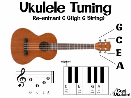 How To Tune A Ukulele, Ukelele Fingerstyle, Ukelele Basic Cords, Fretboard Notes, Ukulele Videos, Topics To Write About, Tuning A Ukulele, Ukulele Sizes, Low G