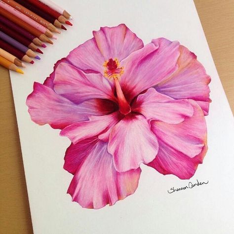 Art Sketches Realistic, Sketches Realistic, Realistic Flower Drawing, Painting Realistic, Color Pencil Sketch, Prismacolor Art, Colored Pencil Artwork, Arte Sketchbook, Color Pencil Art