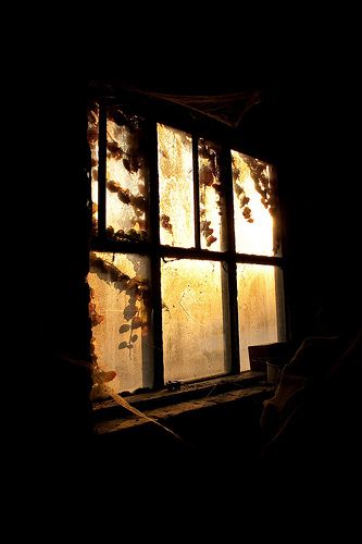 Alexandre - Sunset Behind The Dusty Window http://www.flickr.com/photos/39274125@N02/3932422212/ Magic Places, Monkey Island, Inspiring Photography, Dark Corners, Window View, Window Pane, Through The Window, Dark Room, Closed Doors