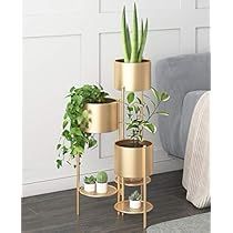 Gold Flower Pot, Flower Pot Stand, Metal Flower Pots, Vase Transparent, Corner Plant, Support Pour Plante, Pot Storage, Indoor Flower Pots, Modern Plant Stand