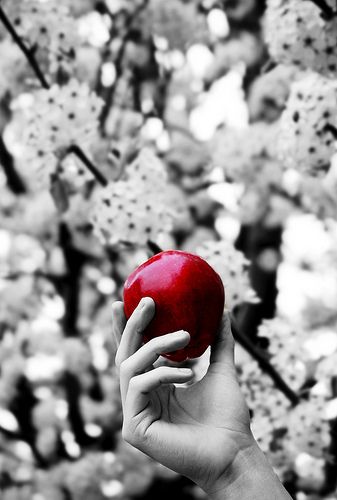 A photo inspired by The Giver by Lois Lowry #apple #fruit #splashofcolor #blackandwhite #coloradded Selective Color Photography, Lois Lowry, Color Splash Photography, Splash Photography, Simply Red, The Giver, Black White Photos, Bw Photo, Red Apple