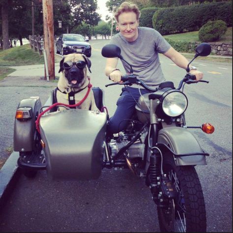 Doggy side car! Biker Dog, Ural Motorcycle, Motorcycle Sidecar, Police Dept, Bmw Motorcycle, Dog Stories, Riding Motorcycle, Shepherd Puppies, Sidecar