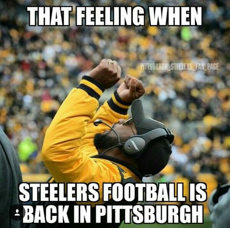 Head Coach: Mike Tomlin Mike Tomlin, Steelers Win, Steelers Pics, Steelers Country, Steelers Baby, Heinz Field, Steelers Girl, Go Steelers, Pittsburgh City