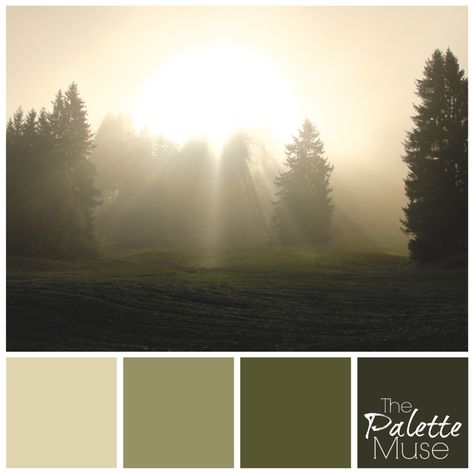 This monochromatic color palette is inspired by the week after daylight savings time change. Full of dark and moody greens, lit by a diffuse sun. Moody Nature Color Palette, Dreamy Color Palette Dark, Dark Sky Color Palette, Dawn Color Palette, Rainy Forest Color Palette, Stormy Sky Color Palette, Picking Paint Colors, Time Change, Green Homes