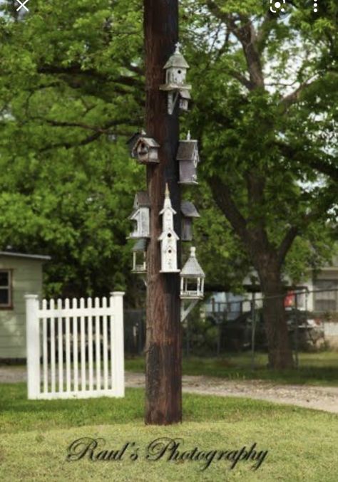 Telegraph Pole, Electric Pole, Mailbox Landscaping, Telephone Pole, Bird Houses Ideas Diy, Beautiful Birdhouses, Pottery Houses, Bird Photo, Birdhouse