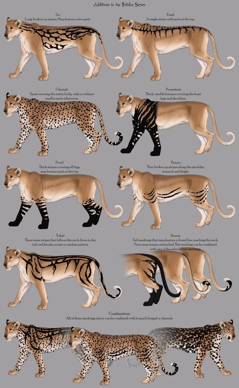 Winter Wildlife, Mythical Creatures Fantasy, Big Cats Art, Animal Study, Warrior Cats Art, Character References, Creature Drawings, Fantasy Creatures Art, Concept Art Drawing