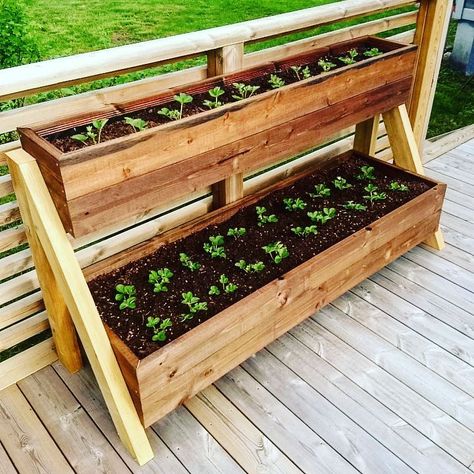 Backyard Strawberry Garden, Patio Shelf Ideas, Strawberry Shelf, Strawberry Planter Ideas, Pallet Patio Furniture Diy, Strawberry Planter, Outdoor Shelves, Strawberry Planters, Diy Planter