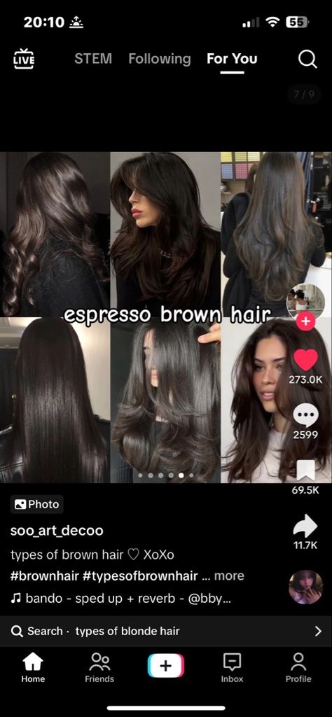 Types Of Brown Hair, Cool Tone Brown Hair, Espresso Hair Color, Mocha Color Hair, Cool Brown Hair, Baylage Hair, Mocha Hair, Coffee Hair, Black Brown Hair