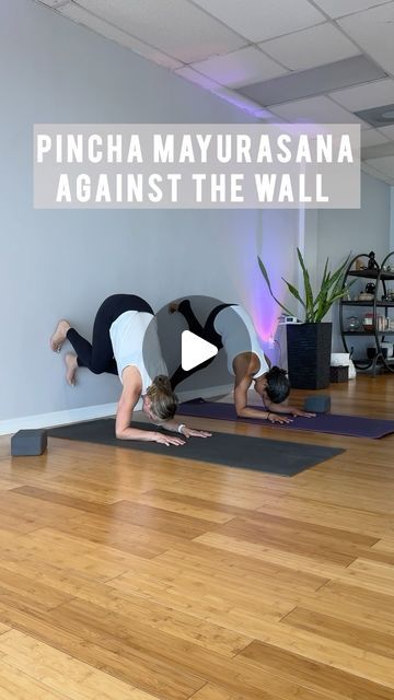 Yoga On The Wall, Wall Yoga Exercises, Yoga Poses Aesthetic, Wall Yoga Poses, Yoga Arm Balance, Sun Yoga, Pincha Mayurasana, Ashley Michelle, Wall Yoga