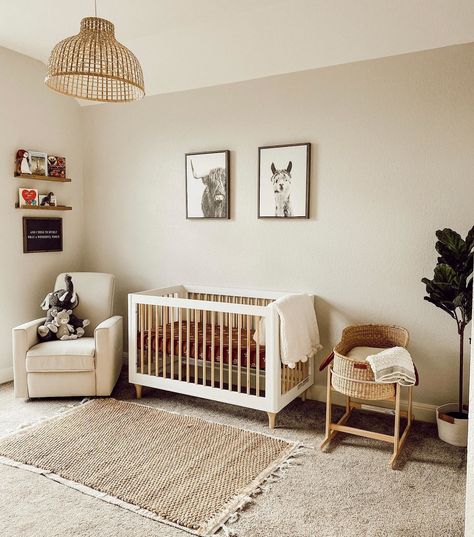 🤍 waitin' for babe ✨ • #babyletto Lolly crib • nursery designed by. @melmariee Baby Letto Crib Nursery, Babyletto Crib Nursery, Babyletto Lolly Crib Nursery, Babyletto Crib Lolly, Babyletto Lolly Crib Canyon, Babyletto Lolly Crib, Nursery Bookshelf, Cozy Nursery, Nursery Glider