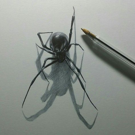 Drawing Ideas Pen, Freddy Krueger Art, Entomology Art, Spider Drawing, Whimsical Art Paintings, Spider Tattoo, Spider Art, Dark Art Drawings, Airbrush Art