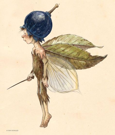 Anne Grahame Johnstone, Tony Diterlizzi, Faery Art, Fairy Drawings, Fairytale Art, Fairy Art, Magical Creatures, A Drawing, Creature Art