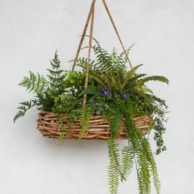 Hanging Plant Decor Ideas, Hanging Plant Decor, Inside Plants Decor, Plant Decor Ideas, Balcony Plants, Support Plante, Diy Plant Hanger, Inside Plants, Flower Pot Garden