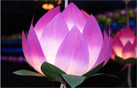 The Busan Lotus Lantern Festival begins today with a lighting ceremony at Song Sang-hyun Square, beginning at 7 p.m. #SouthKorea #Busan #Lantern #Festival Lotus Lantern Festival, Beautiful Lanterns, Lotus Lantern, Lantern Ideas, Time Pass, Fire Flower, Acrylic Painting Flowers, Lantern Festival, New Year Decor