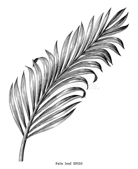 Tattoo Bein Frau, Fern Tattoo, Branch Tattoo, Palm Tattoos, Hand Palm, Plant Tattoo, Leg Sleeve Tattoo, Hand Draw, Simplistic Tattoos