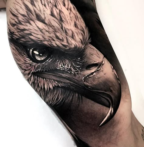 Beautiful Eagle done on guy's bicep in black and grey. Bird Tattoo Neck, Eagle Head Tattoo, Bald Eagle Tattoos, Traditional Eagle Tattoo, Head Tattoo, Eagle Tattoos, Incredible Tattoos, Eagle Tattoo, Best Sleeve Tattoos