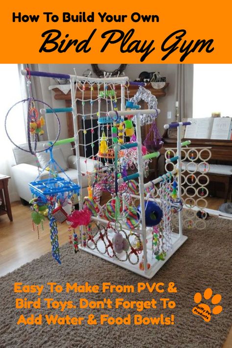 How To Build Your Own Bird Play Gym With PVC Bird Play Gym, Parrot Play Stand, Diy Parrot Toys, Diy Bird Toys, Parrot Stand, Parrot Pet, Bird Aviary, Bird Stand, Bird Care