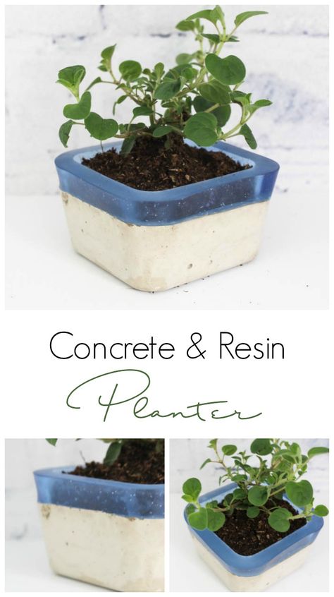 Make your own concrete and resin planter using Envirotex Lite and Easy Mold! Love the colour and textures of this project! Resin Pots Planters, Concrete And Resin Diy, Resin And Cement, Concrete Resin Art, Resin And Concrete, Resin Planters Diy, Concrete And Resin, Diy Concrete Planters, Resin Planters