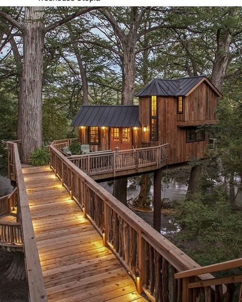 Cozy Tree House, Adult Tree House, Treehouse Living, Luxury Tree Houses, Treehouse Masters, Beautiful Tree Houses, Tree House Plans, Cool Tree Houses, Tree House Designs