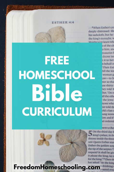 Kids Bible Study Lessons, Free Bible Study Printables, Homeschool Bible Curriculum, Childrens Bible Study, Teen Bible Study, Bible Homeschool, Christian Homeschool Curriculum, Family Bible Study, Free Homeschool Curriculum