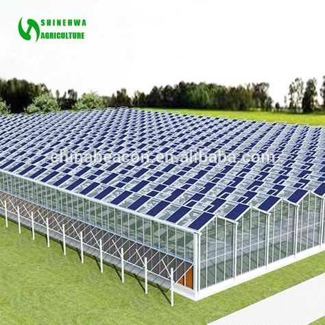 Passive Solar Greenhouse, Aquaponics Greenhouse, Greenhouses For Sale, Solar Greenhouse, Greenhouse Farming, Commercial Greenhouse, Smart Farm, Indoor Farming, Best Greenhouse