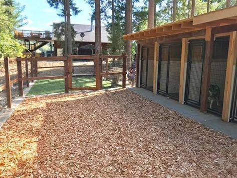 Dog Kennel And Run Ideas, Outside Kennel Ideas, Nice Dog Kennels Outside, Dog Kennel Layout, Dog Shed House, Heated Dog Kennel, Dog Kennel Building, Dog Pen Outdoor, Dog Breeding Kennels