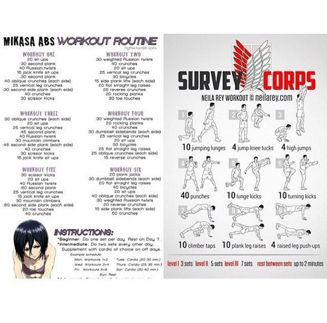 Survey Corps Workout, Core Workout Challenge, Anime Workout, Neila Rey Workout, Scout Regiment, Workout Challenges, Jumping Lunges, Body Exercises, Survey Corps