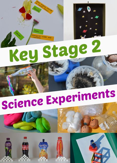 Gravity Experiments, Magnet Experiments, Homeschool Goals, Fossils Activities, Air Dry Polymer Clay, Easy Stem, Key Stage 2, Primary Science, Science Experiments For Kids