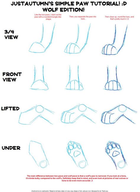 Drawing wolf paw positions How To Draw Wolf, Draw Wolf, Wolf Paws, Drawing Wolf, Paw Drawing, Wolf Sketch, Wolf Paw, Cat Drawing Tutorial, Výtvarné Reference