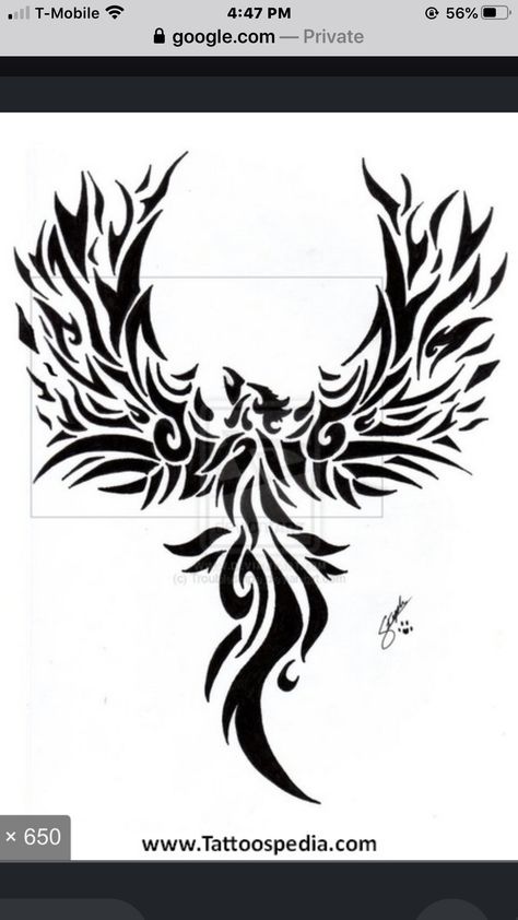 Phoenix Back Tattoo, Phoenix Tattoo For Men, Phoenix Bird Tattoos, Phönix Tattoo, Free Tattoo Designs, Phoenix Tattoo Design, Tattoo Trend, Phoenix Design, White Drawing