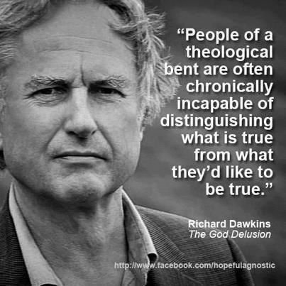 God Delusion, The God Delusion, Secular Humanist, Christopher Hitchens, Herding Cats, Atheist Quotes, Richard Dawkins, Imaginary Friends, Anti Religion