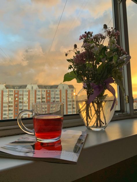 Hibiscus Tea Aesthetic, Cosy Aesthetic, Tea Aesthetic, Apartments Decorating, Flowers Vase, Bandeau One Piece Swimsuit, Hibiscus Tea, Phone Wallpaper Images, Insta Stories