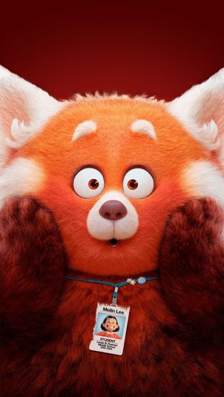 Red Panda Wallpaper Iphone, Red Mei Mei, Red Panda Gif, Turning Red Wallpaper, Red Panda Cartoon, Panda Wallpaper Iphone, Meilin Lee, Iphone Wallpaper Texture, Red Disney