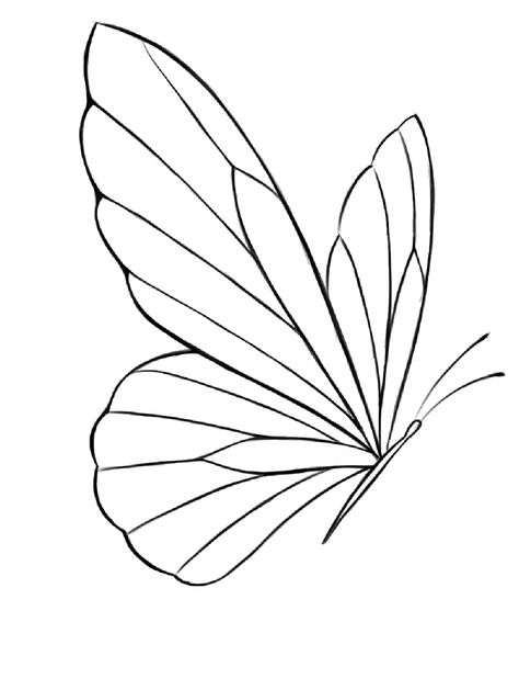 Butterfly Flying Sketch, 5 Butterfly Tattoo, Unique Butterfly Drawing, Butterfly Tattoo Stencil Simple, Easy Outline Drawings, Line Art Butterflies, Butterfly Drawing Outline, Butterfly Line Drawing, Simple Butterfly Tattoo