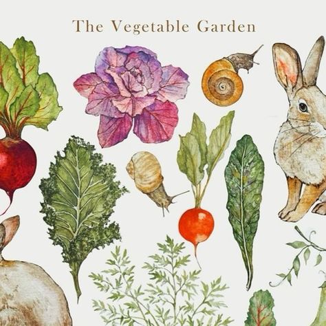 Jane Carkill Illustration on Instagram: "The Vegetable Garden 🐌🍂 • Prints are available now on LambLittleShop 🤎 . . . . . . . . . .#cottagecore #instadaily #wildlife #vegetablegarden #instaart #instaillustration #illustration #painting #art #nature #watercolourpaint #painting #cottagechic #easter #cottagestyle #spring #garden #cottagecorecommunity #fairycore #watercolours #drawing #cottagecoreart #watercolor #beatrixpotter #childrensillustration #cottagecoreart #art #illustrationartists #fairycore #cuteart #gardening" Cottage Core Art, Illustration Painting, Beatrix Potter, Art Nature, Illustration Artists, Childrens Illustrations, Spring Garden, Fairy Core, Cottage Chic