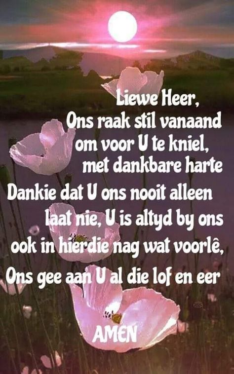 Aand-gebed. Nag Boodskappies, Nagging Quotes, Good Night Prayer Quotes, Good Morning Smiley, Evening Quotes, Lekker Slaap, Inspirational Qoutes, Good Night Flowers, Good Night Prayer