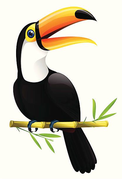 Toucan Flying, Flying Toucan, Toucan Tattoo, Toucan Drawing, Toucan Craft, Toucan Painting, Toucan Illustration, Disney Mural, Jungle Images