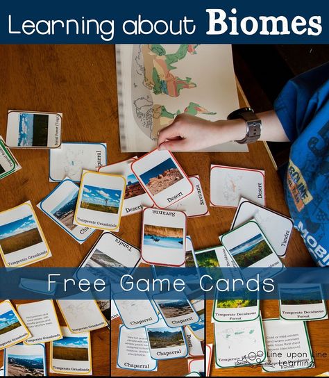 Review with these free biomes game cards Teaching Biomes, Classical Learning, Biomes Activities, Biomes Project, Montessori Science, Montessori Geography, 7th Grade Science, Homeschool Geography, Secondary Science